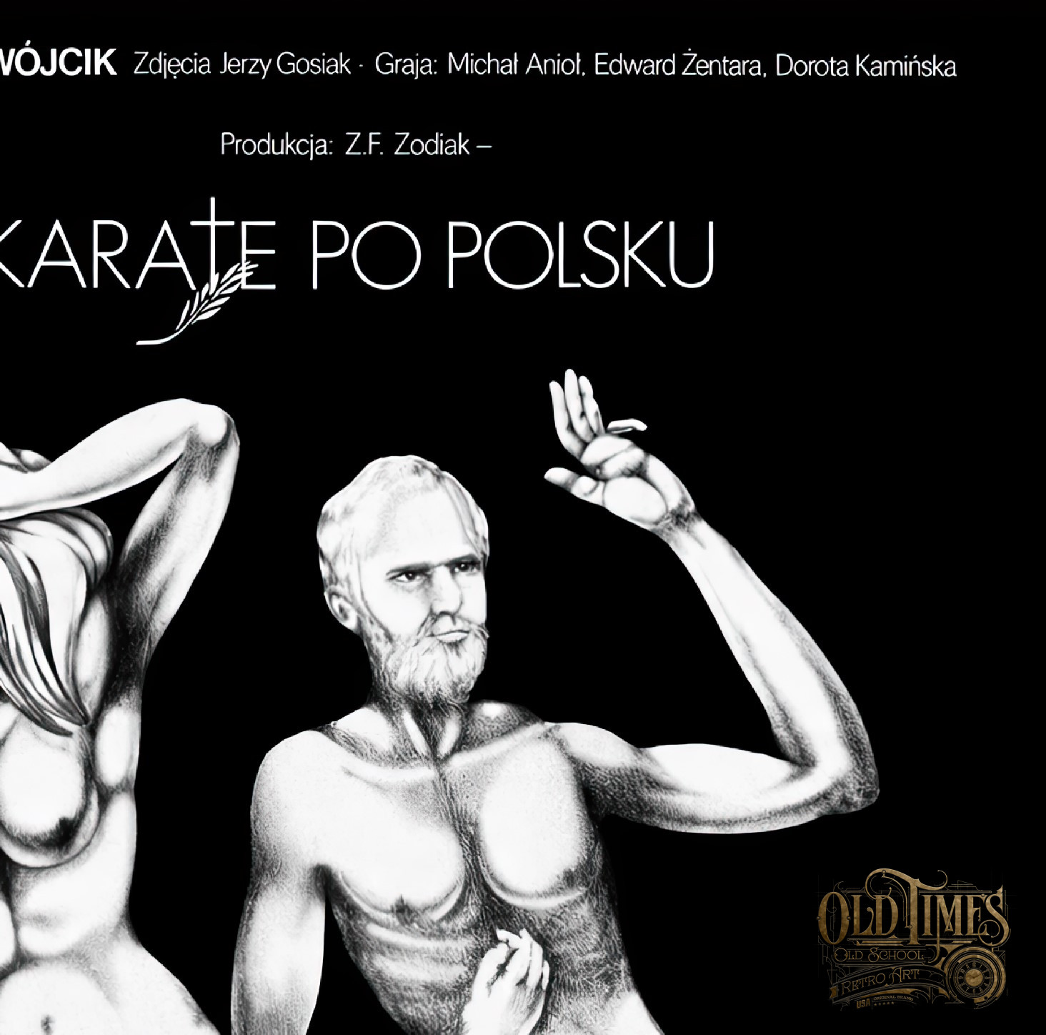Karate po polsku plakat wysokiej jakosci
