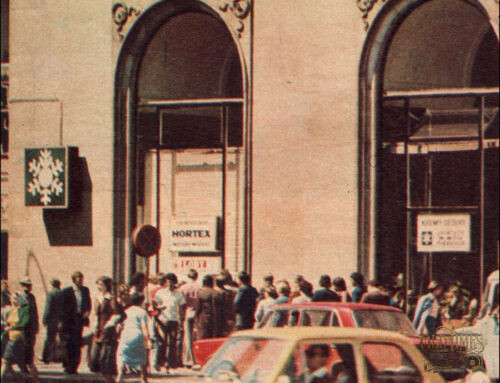 ❤Hortex Warszawa – lody, które smakowały jak lato