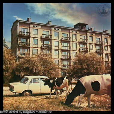 Galeria Prac Bogdan Markowicz - Remastering cyfrowy koloryzacja zdjęć retusz 12